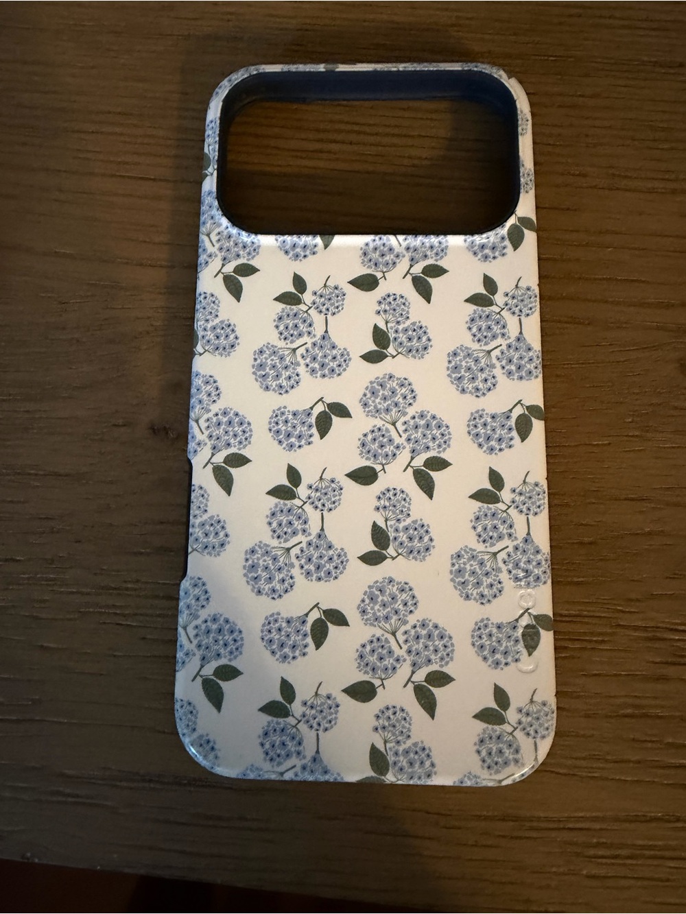 Casely Nantucket Cottage iPhone 17 pro max case with MagSafe
